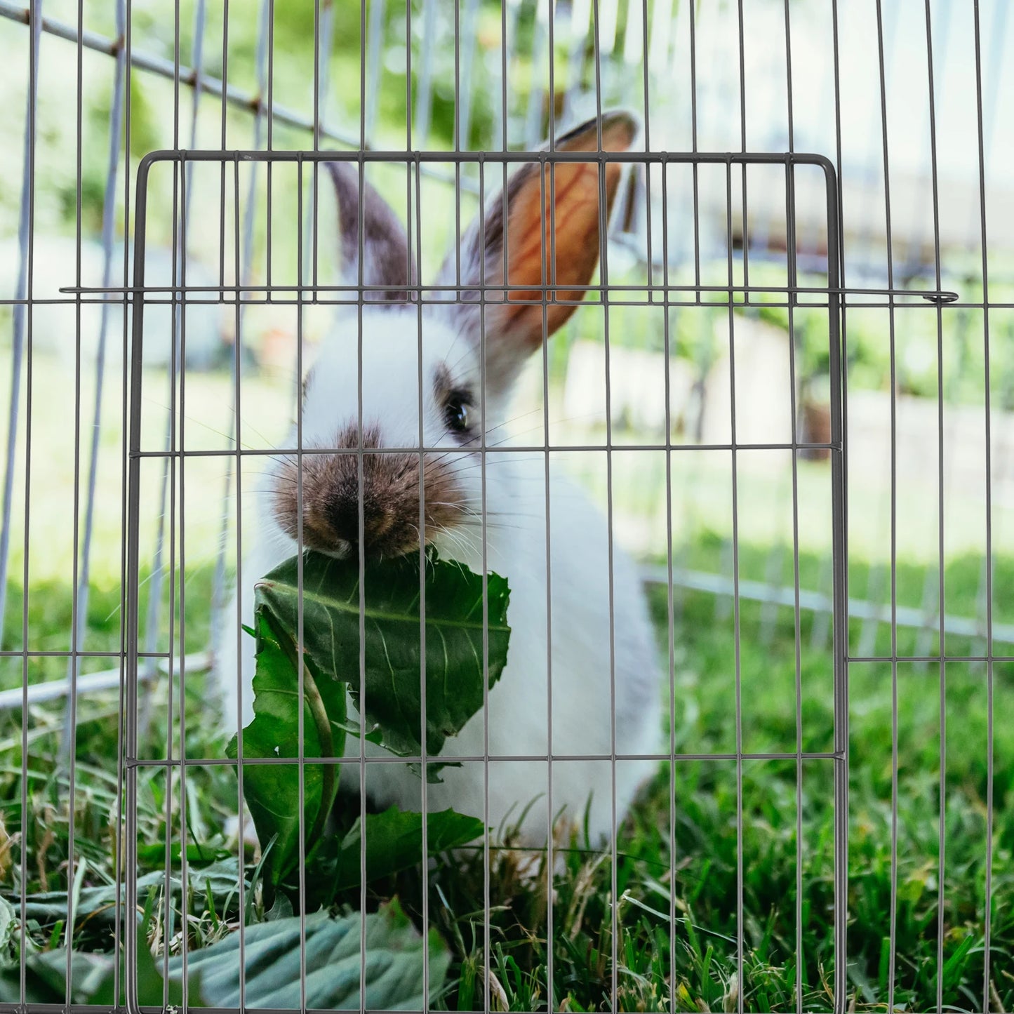 Cat Cage Net Pet Screen Gate for Cats Dog Crate Metal Wire Fence Small Playpen Install Cat Fence Door Pet Villa